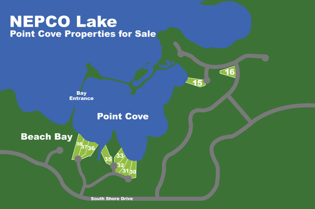 Lakefront Properties Nepco Lake