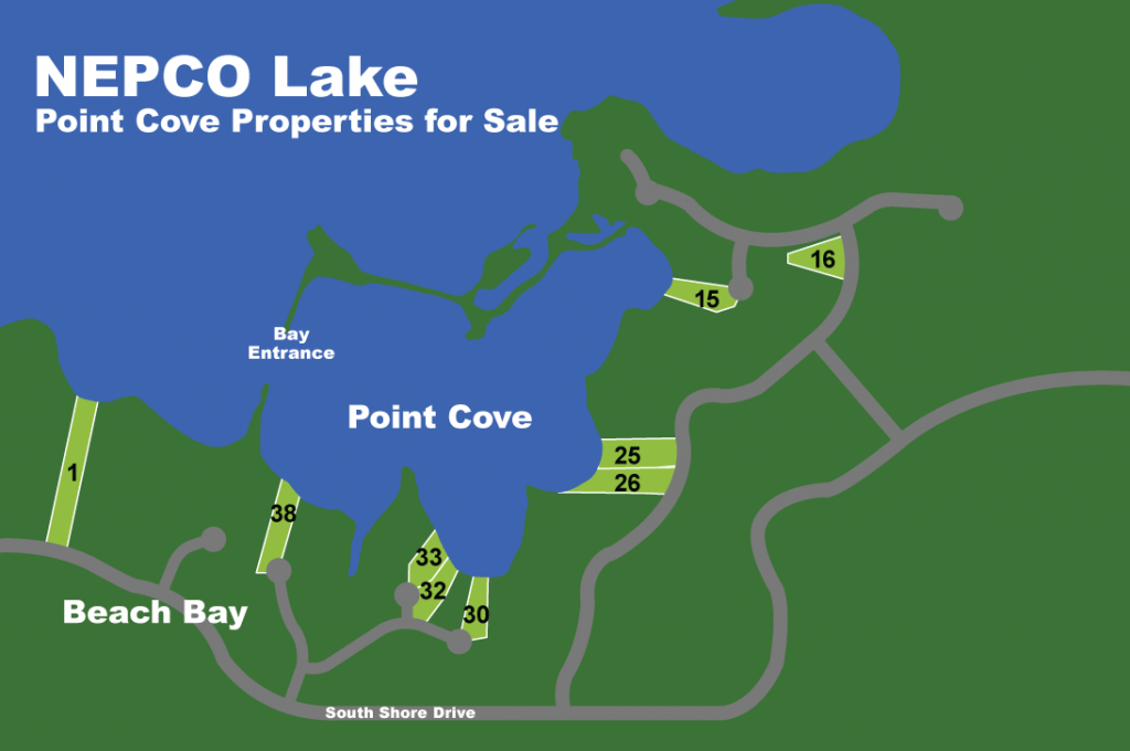 Lakefront Properties Nepco Lake